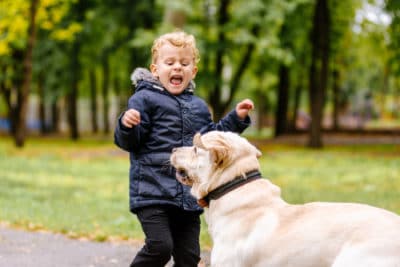 Dog Bite Lawyer in Queens, NY Dog Attack Attorney Free Consultation